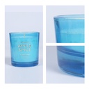 MINISO Scented Candles Home Wax Scented Candle Aroma Decoration Candles Gift Combo for Home Decor,Bedroom,Bathroom,Fabulous Day,Blue Apple Spice 150G*2 